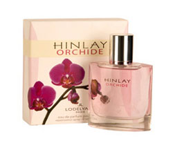 Hinlay Orchide