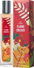 Brocard Day Dreams - Flame Orchid